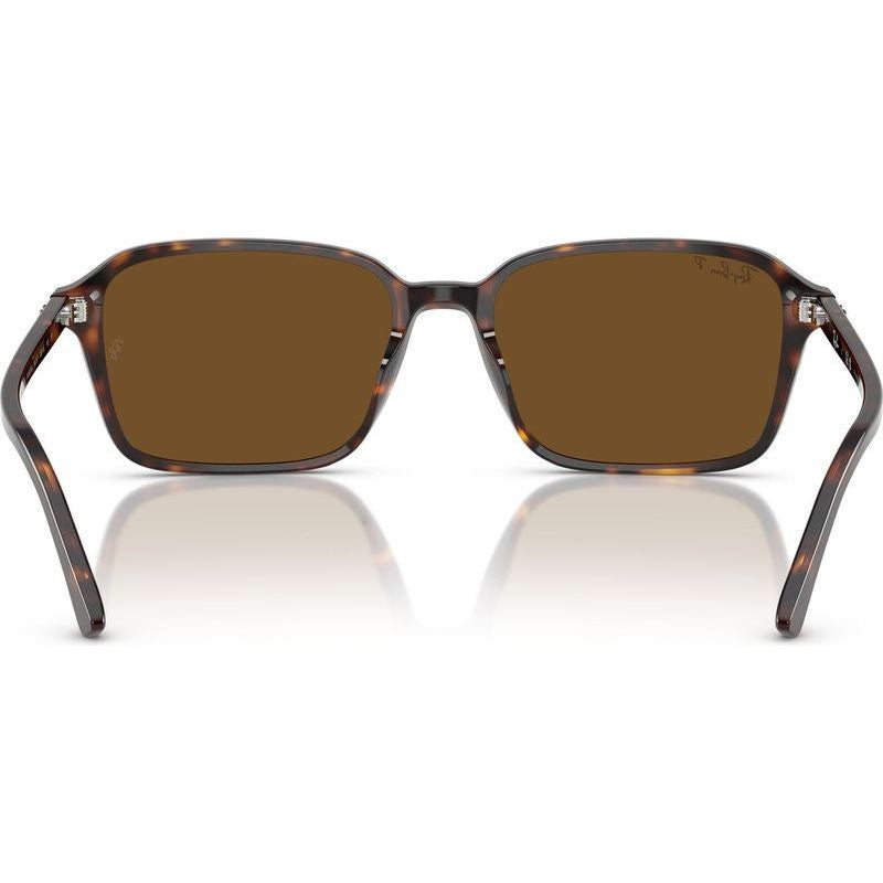 Raimond RB2231, Havana/Brown Glass Polarised Lenses 56 Eye Size