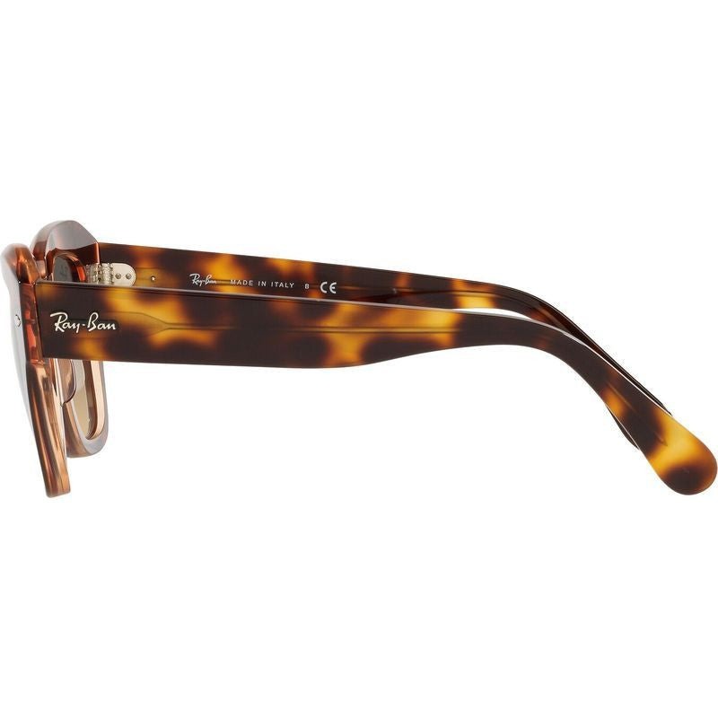 State Street RB2186, Havana on Transparent Pink/Brown Blue Gradient Glass Lenses 49 Eye Size
