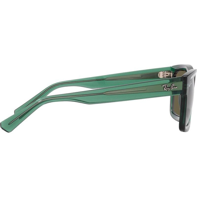 Warren RB4396, Transparent Green/Brown Lenses 54 Eye Size