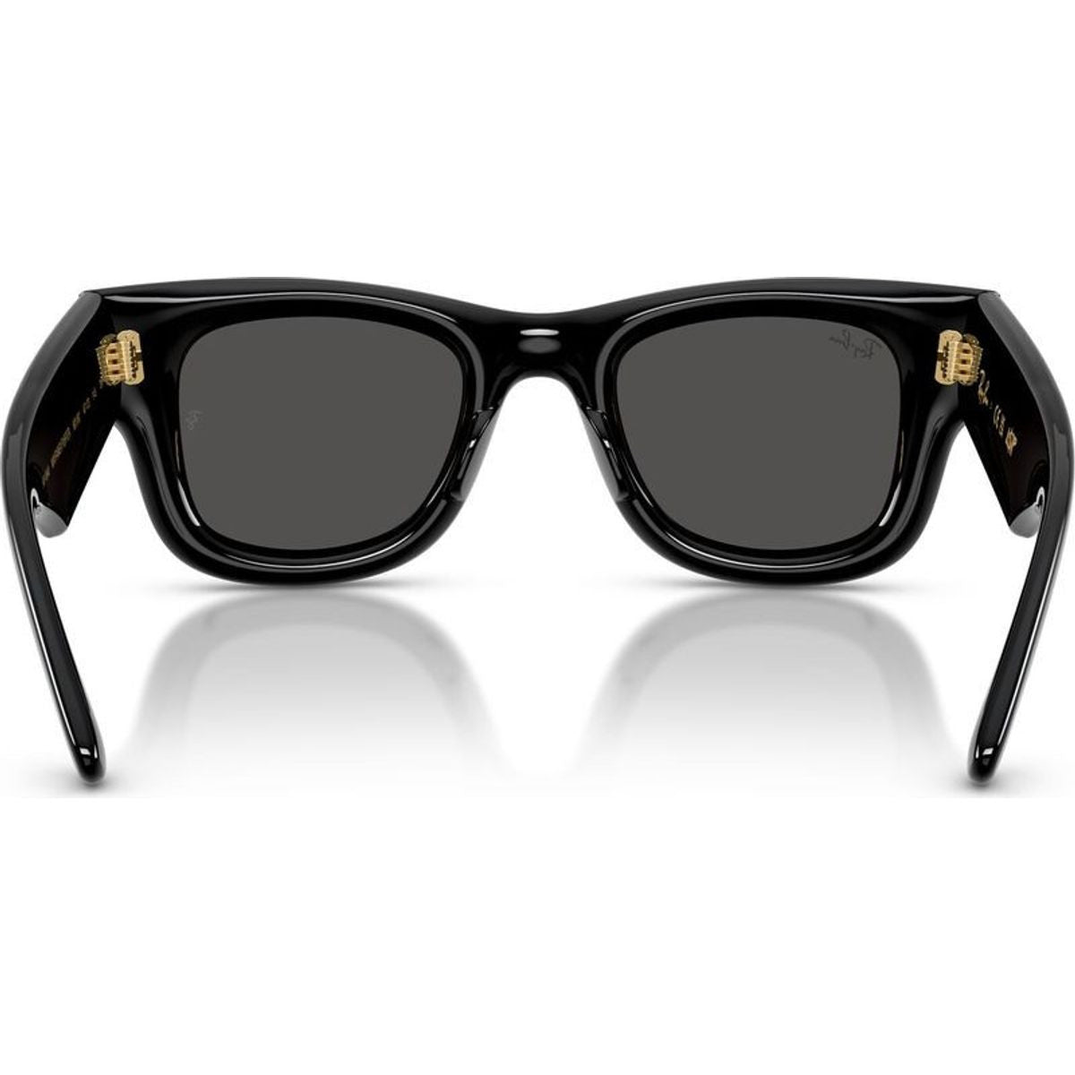 Wayfarer Puffer RB4940, Black/Ultra Black Lenses 50 Eye Size