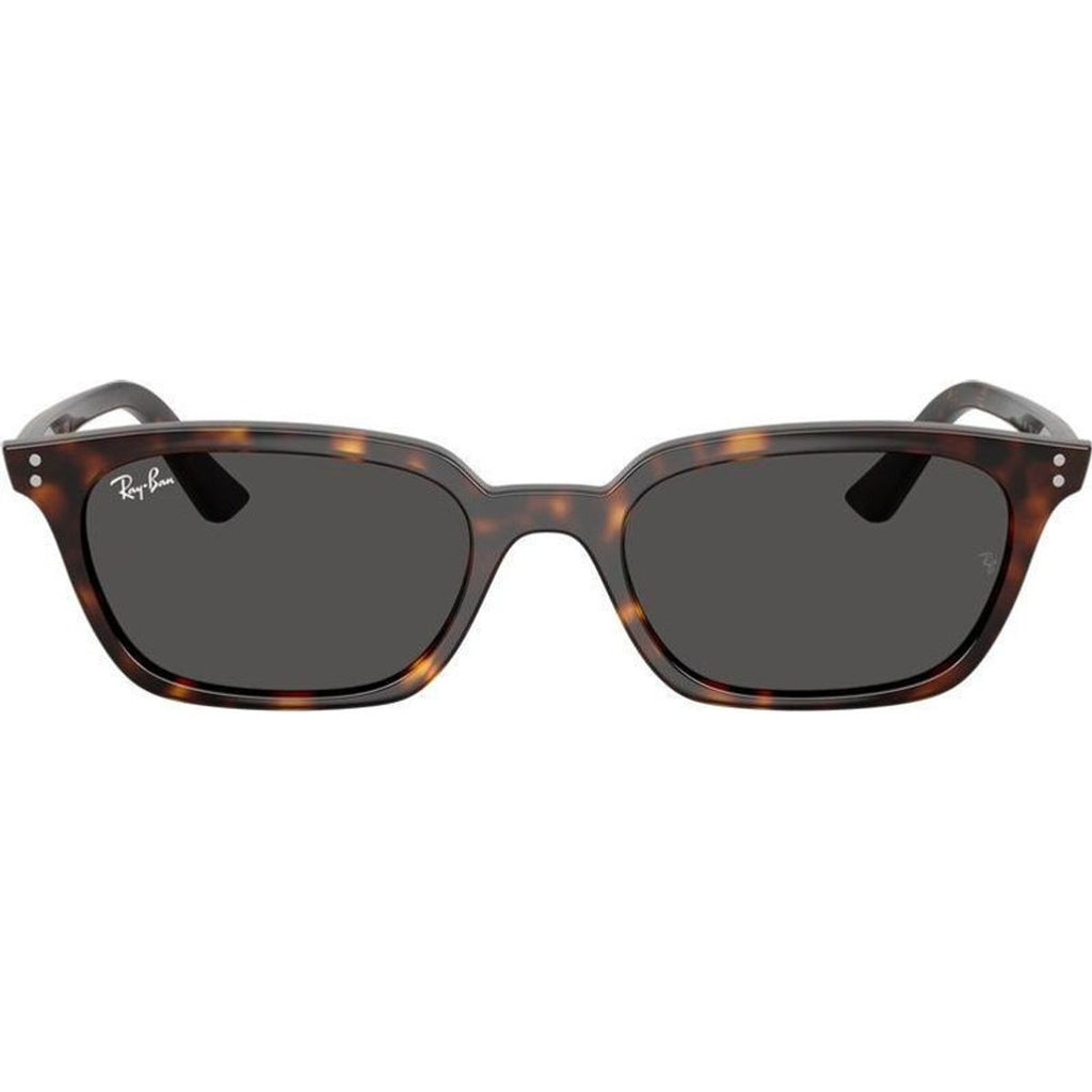 Zaya RB4456, Havana/Dark Grey Lenses 50 Eye Size