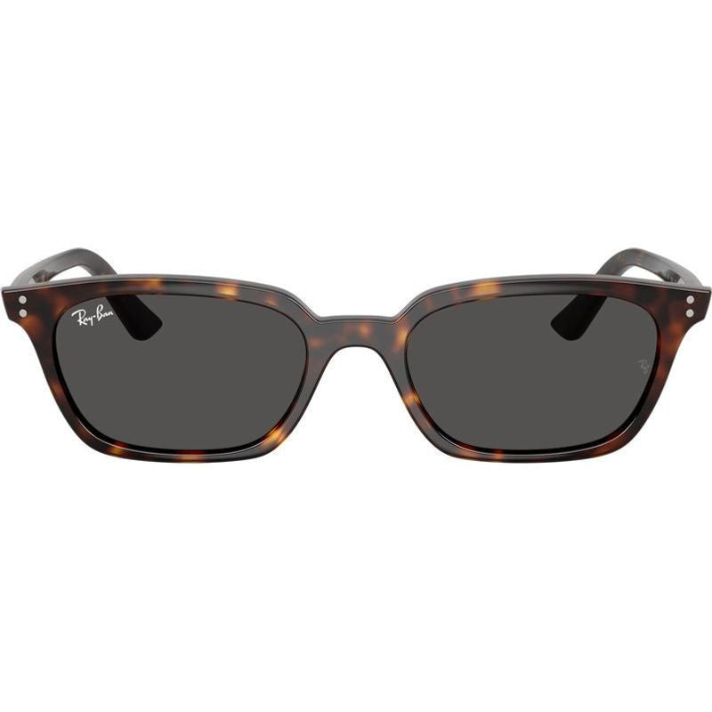 Zaya RB4456, Havana/Dark Grey Lenses 53 Eye Size