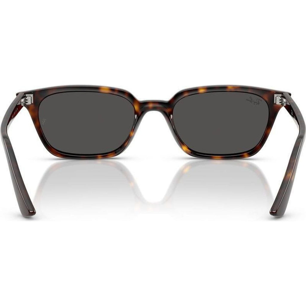 Zaya RB4456, Havana/Dark Grey Lenses 50 Eye Size