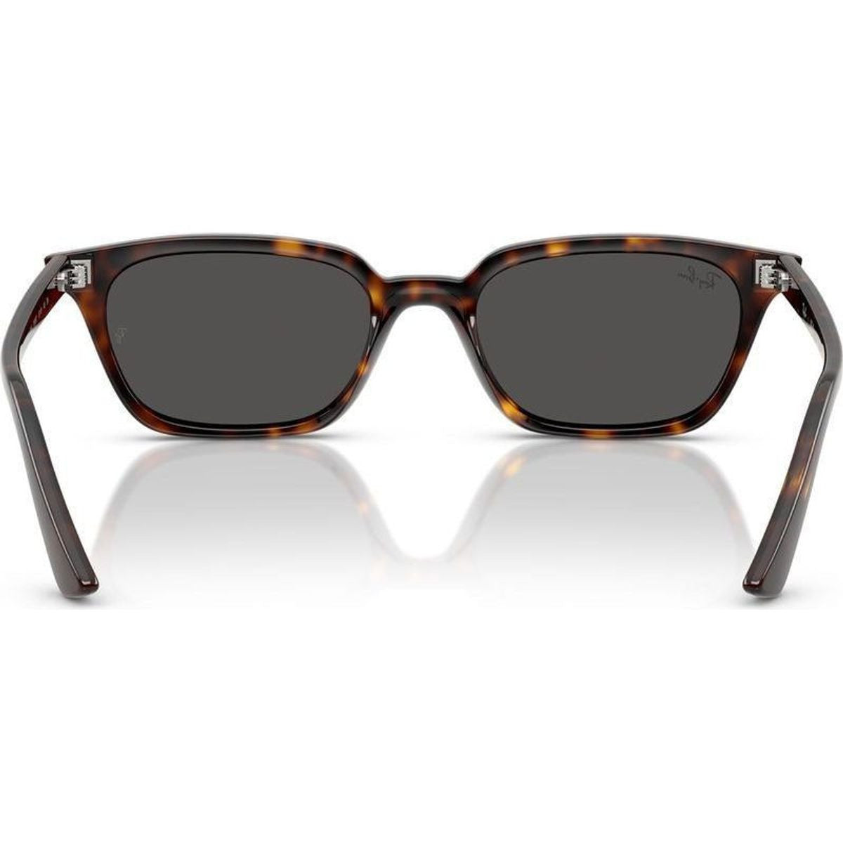 Zaya RB4456, Havana/Dark Grey Lenses 50 Eye Size