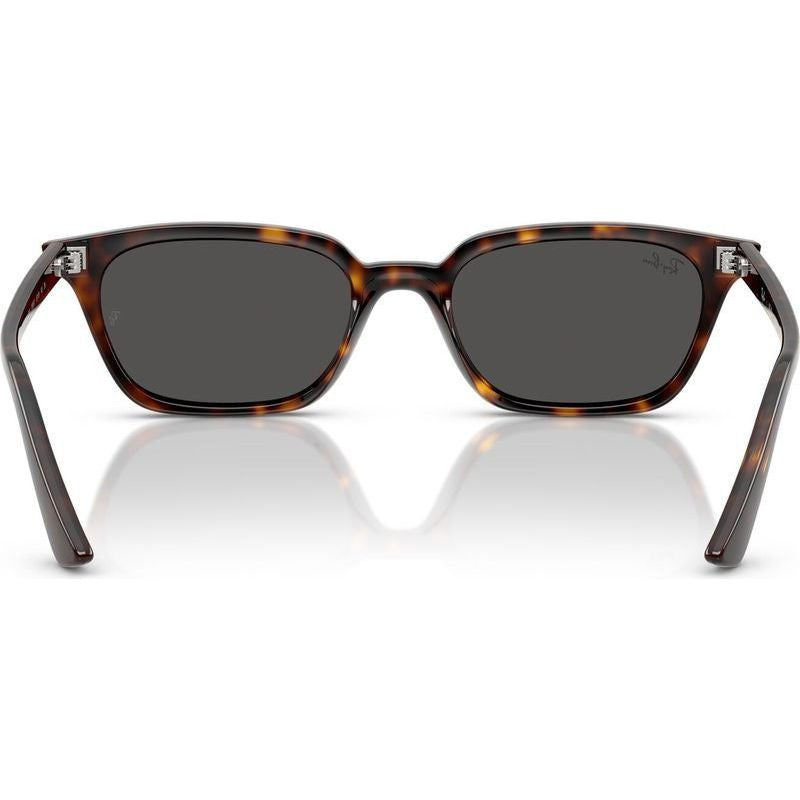 Zaya RB4456, Havana/Dark Grey Lenses 53 Eye Size