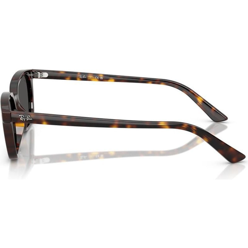 Zaya RB4456, Havana/Dark Grey Lenses 53 Eye Size