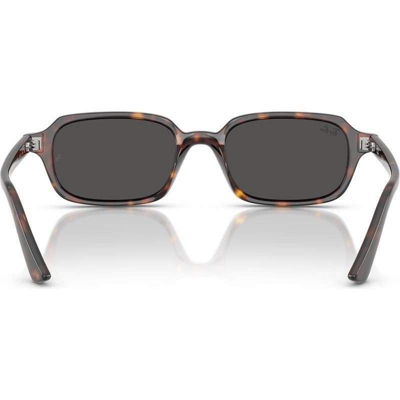 Zuri RB4455, Havana/Dark Grey Lenses 52 Eye Size