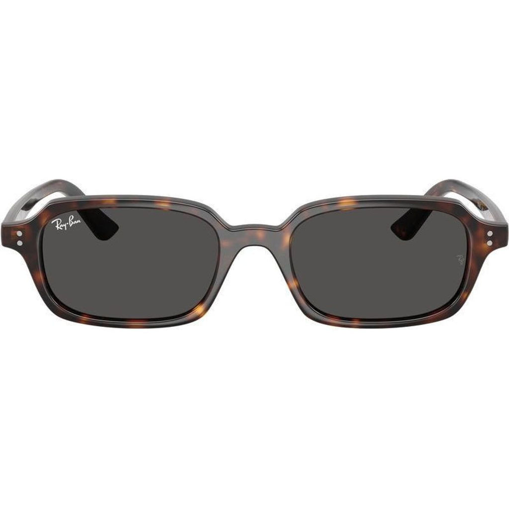 Zuri RB4455F, Havana/Dark Grey Lenses