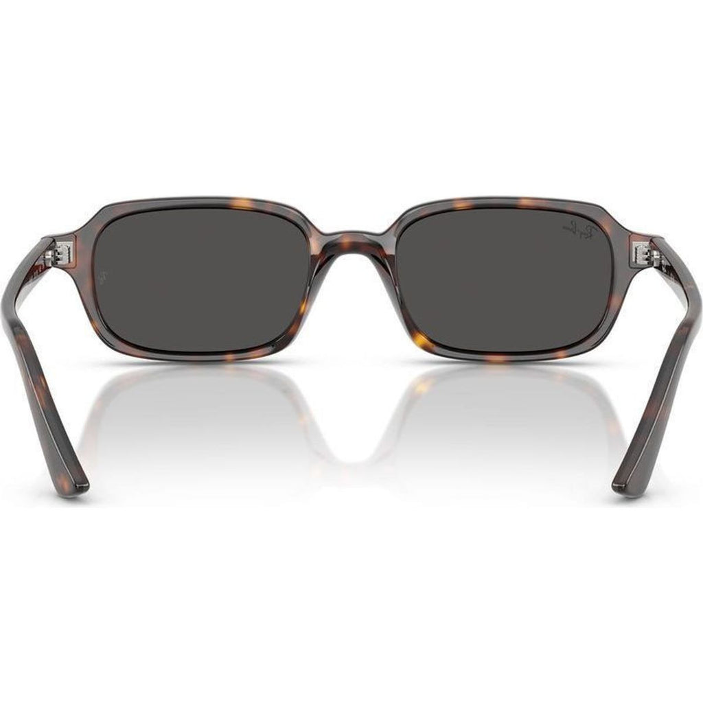 Zuri RB4455F, Havana/Dark Grey Lenses