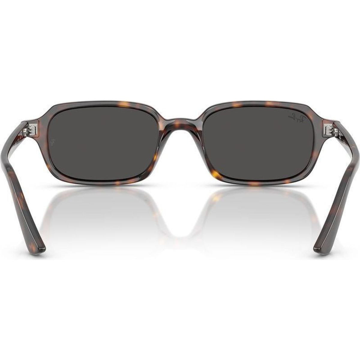 Zuri RB4455F, Havana/Dark Grey Lenses