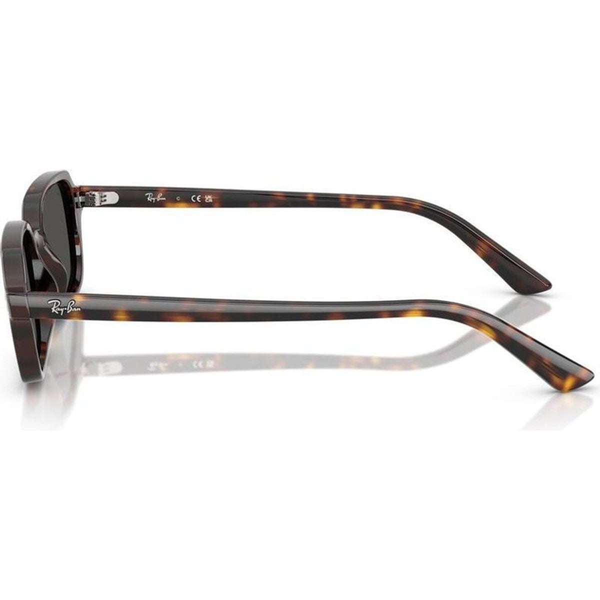 Zuri RB4455F, Havana/Dark Grey Lenses