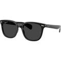 Ray-Ban Brunel II RB2235 Black Black Polarised Glass Angle
