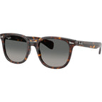 Ray-Ban Brunel II RB2235 Tortoise Grey Gradient Glass Angle