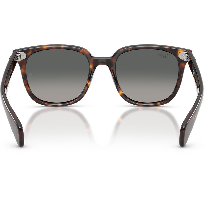 Ray-Ban Brunel II RB2235 Tortoise Grey Gradient Glass Inner