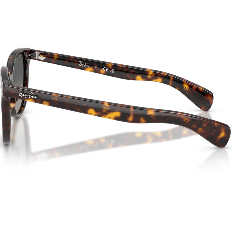 Ray-Ban Brunel II RB2235 Tortoise Grey Gradient Glass Side