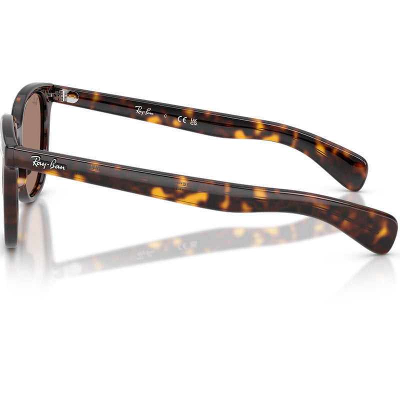 Ray-Ban Brunel II RB2235 Tortoise Light Brown Glass Side