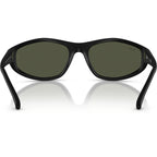 Ray-Ban RB2228 Rubber Black Green Glass Inner