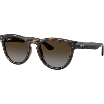 Ray-Ban RB2237 Havana Brown Grey Gradient Polarised Angle