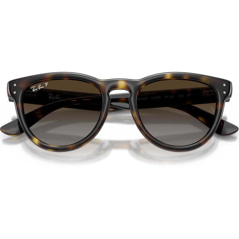 Ray-Ban RB2237 Havana Brown Grey Gradient Polarised Front2