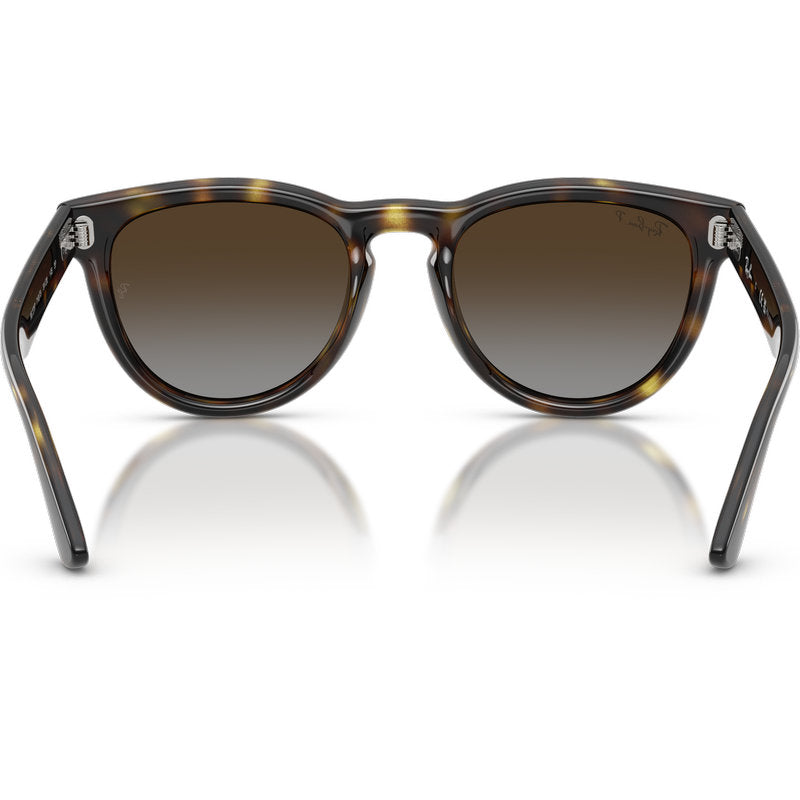 Ray-Ban RB2237 Havana Brown Grey Gradient Polarised Inner