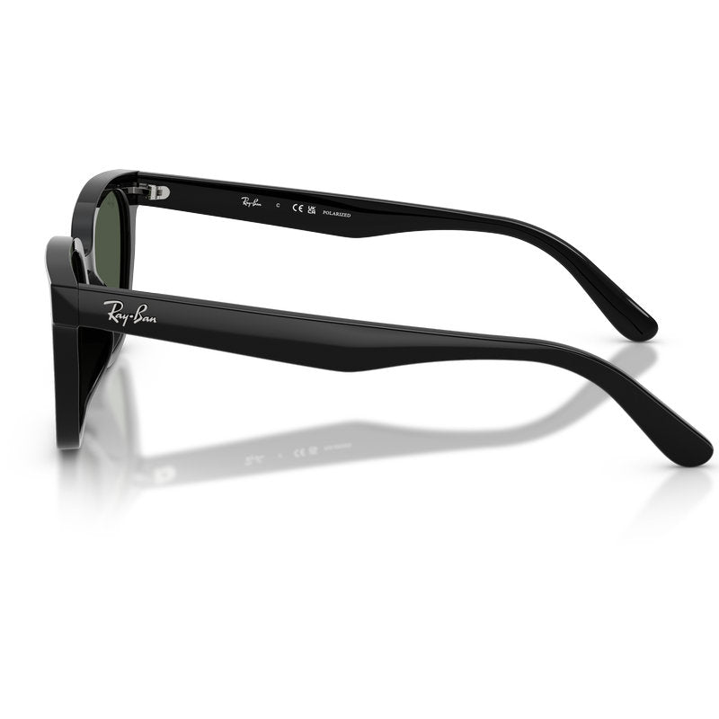 Ray-Ban RB2243D Black Dark Green Polarised Side