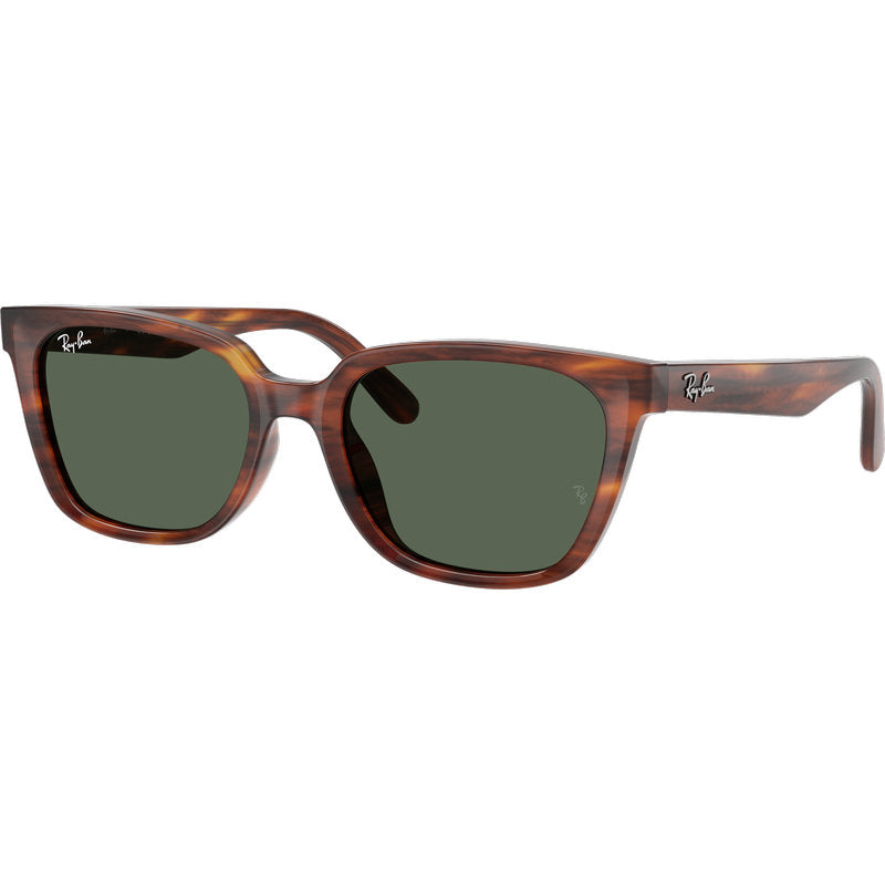Ray-Ban RB2243D Striped Havana Dark Green Angle