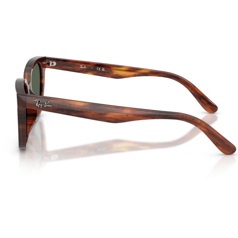 Ray-Ban RB2243D Striped Havana Dark Green Side