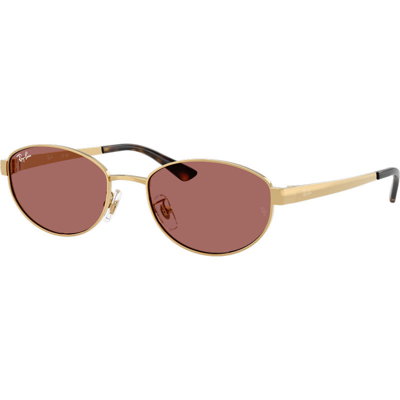 Ray-Ban RB3774D Arista Dark Violet Angle