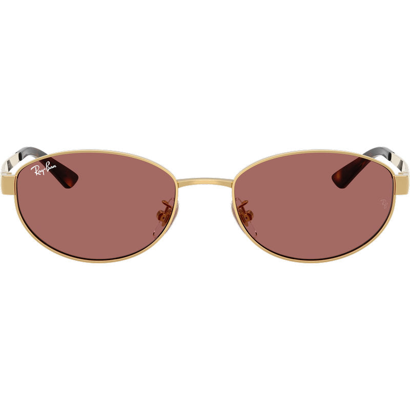 Ray-Ban RB3774D Arista Dark Violet Front