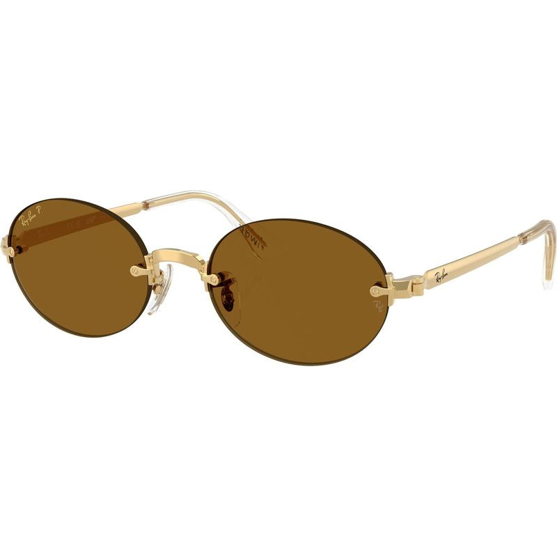 Ray-Ban RB3929 Arista Dark Brown Polarised Angle