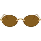 Ray-Ban RB3929 Arista Dark Brown Polarised Front