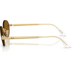 Ray-Ban RB3929 Arista Dark Brown Polarised Side