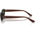 Ray-Ban RB4441D Transparent Brown Dark Green Side