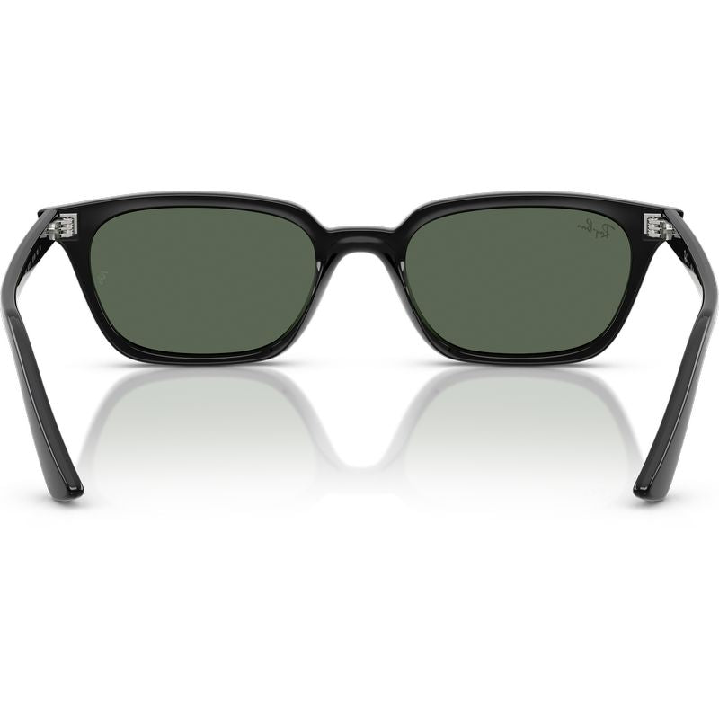 Ray-Ban Zaya RB4456 Black Green Inner Frame