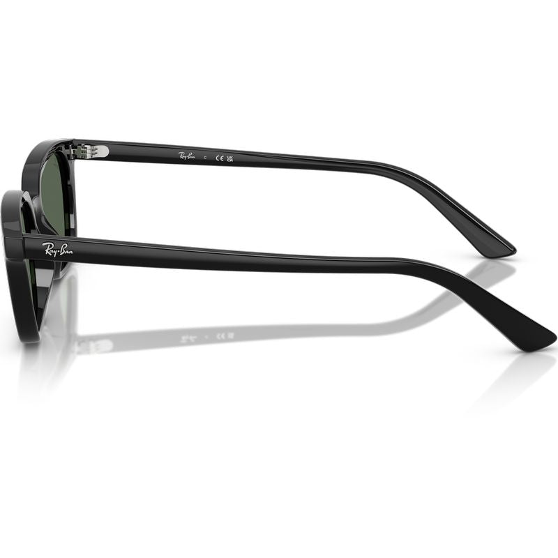 Ray-Ban Zaya RB4456 Black Green Side