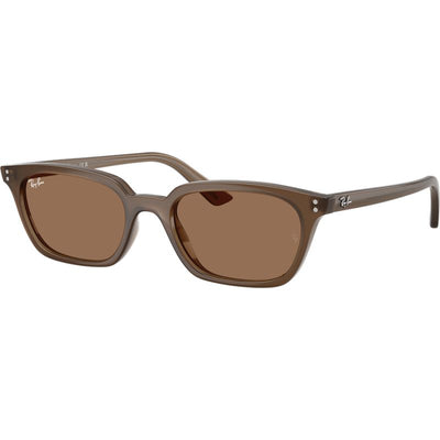Ray-Ban Zaya RB4456 Transparent Dark Brown Brown Angle