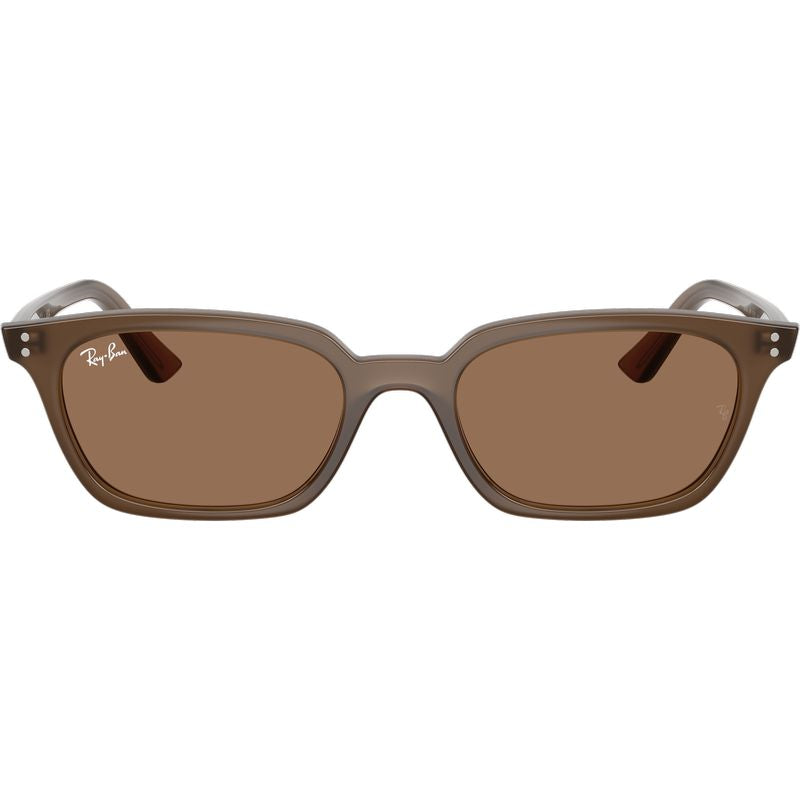 Ray-Ban Zaya RB4456 Transparent Dark Brown Brown Front