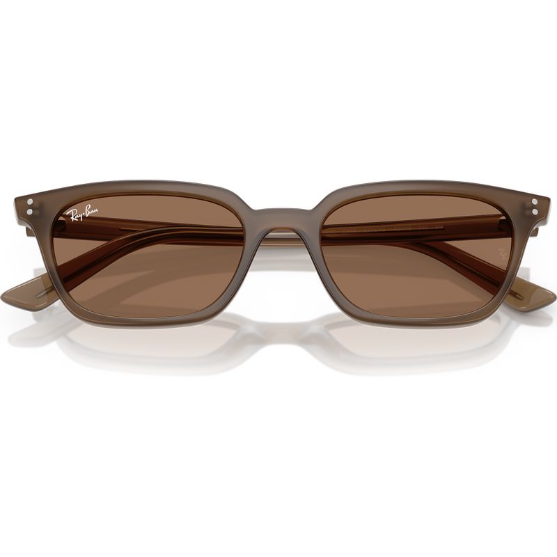 Ray-Ban Zaya RB4456 Transparent Dark Brown Brown Front2