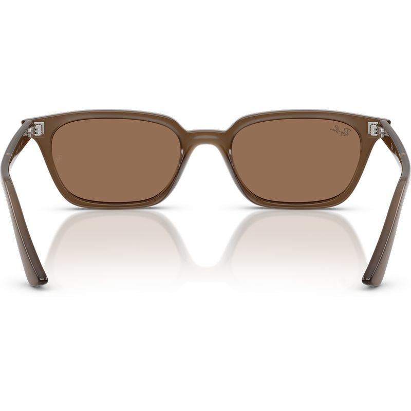 Ray-Ban Zaya RB4456 Transparent Dark Brown Brown Inner Frame