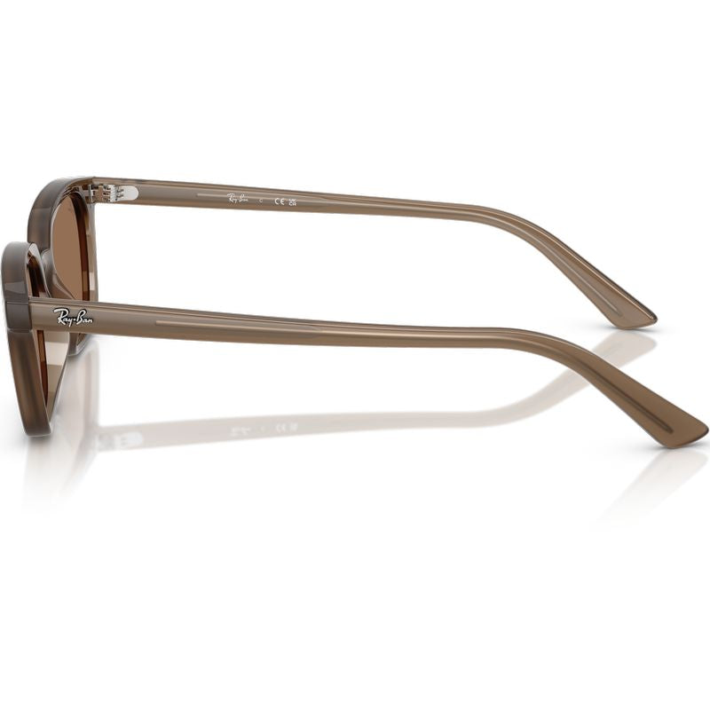Ray-Ban Zaya RB4456 Transparent Dark Brown Brown Side