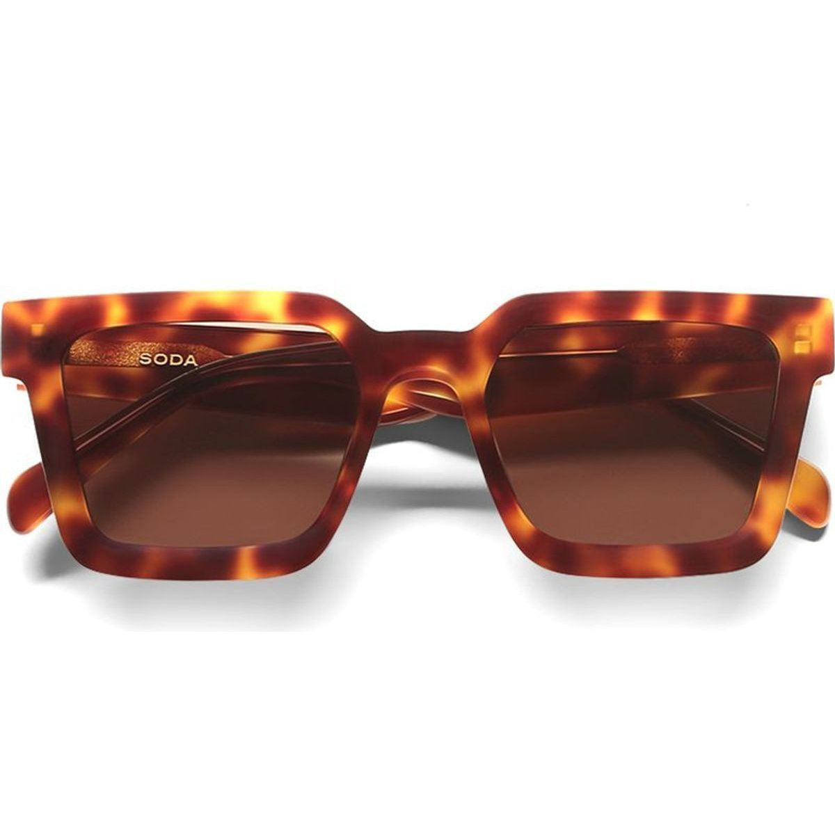 Brookyln II, Tortoise/Brown Lenses