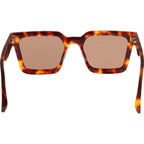 Brookyln II, Tortoise/Brown Lenses
