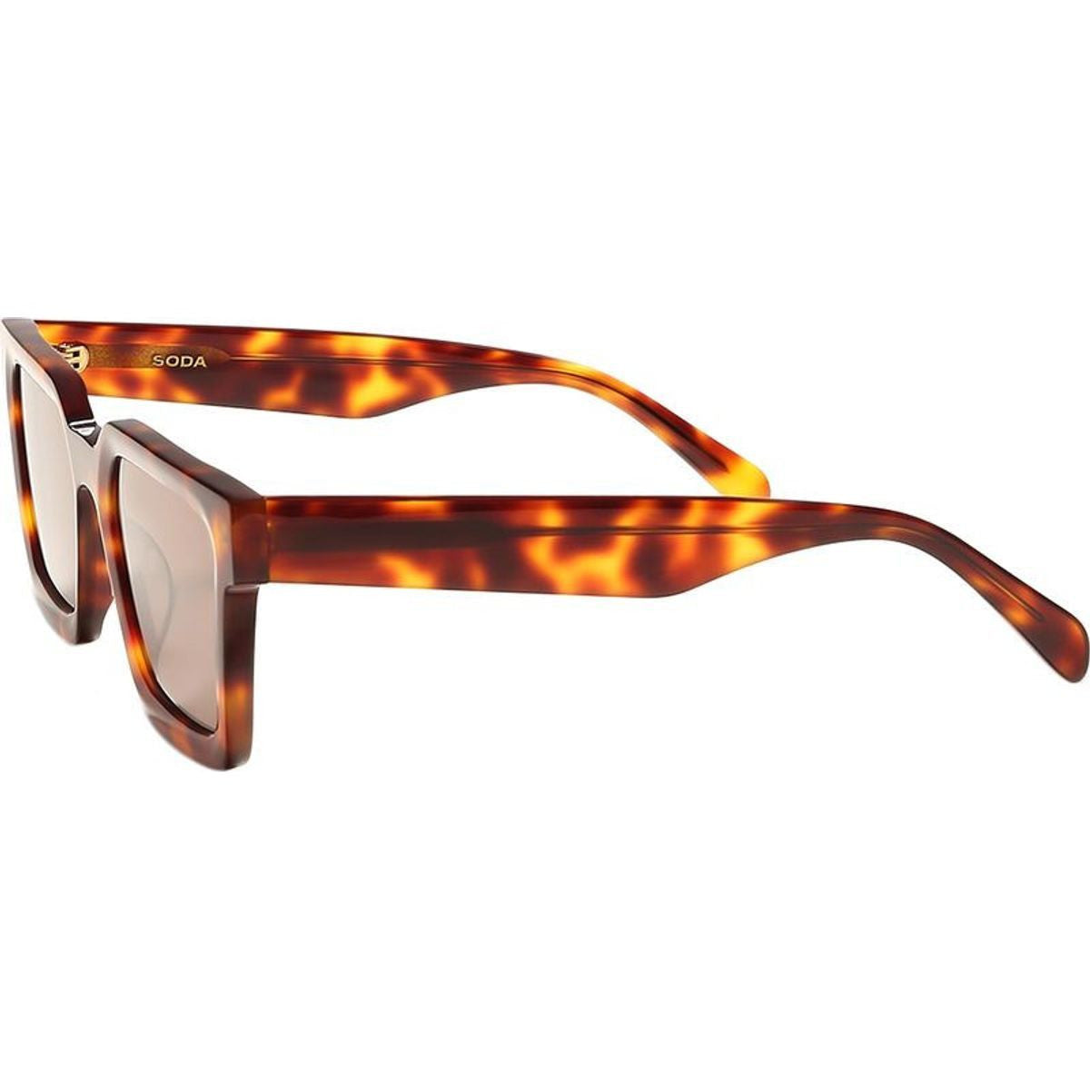Brookyln II, Tortoise/Brown Lenses