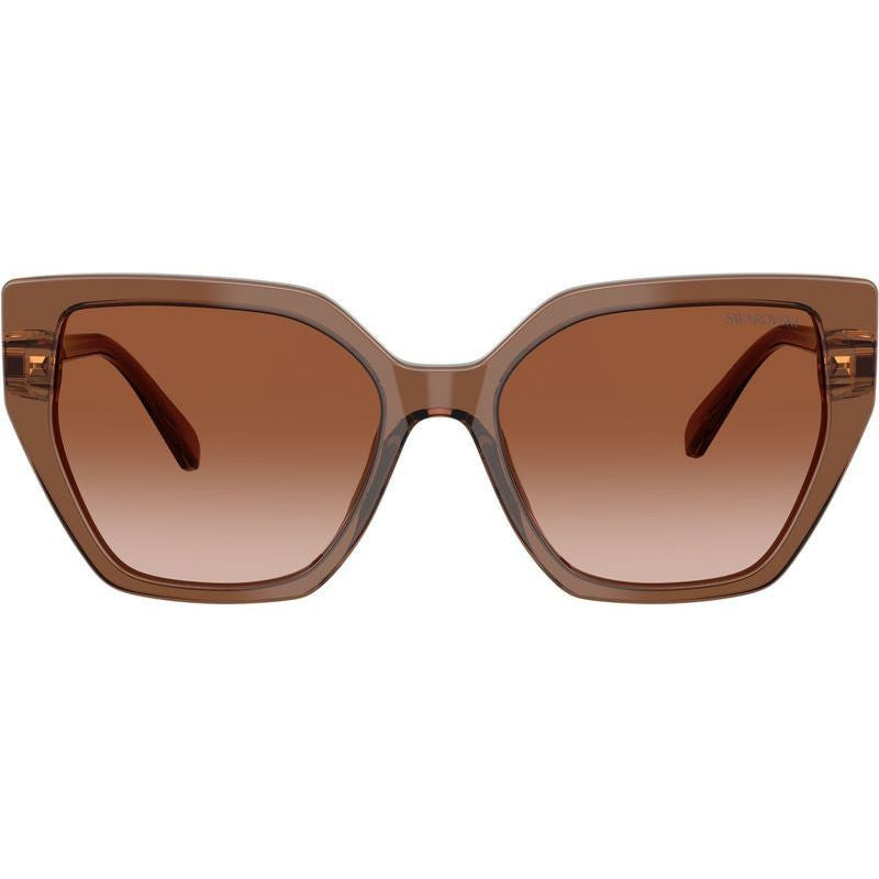 SK6016, Transparent Brown/Brown Gradient Lenses