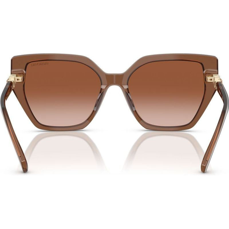 SK6016, Transparent Brown/Brown Gradient Lenses