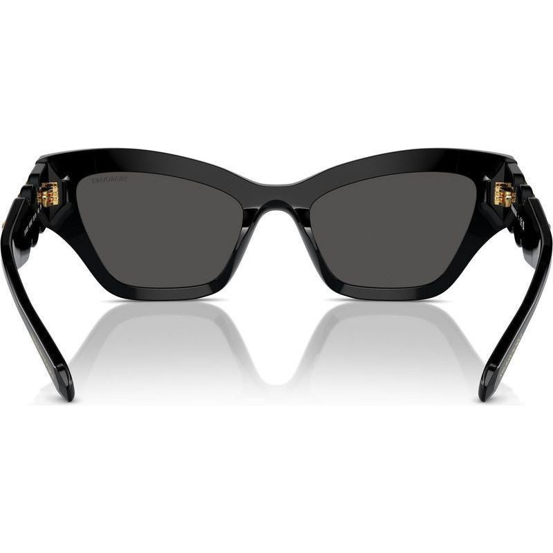 SK6021, Black/Dark Grey Lenses
