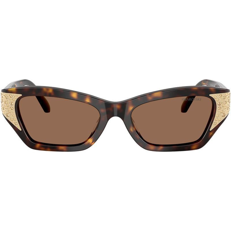 SK6029, Dark Havana/Dark Brown Lenses 53 Eye Size