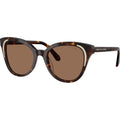 SK6031, Dark Havana/Dark Brown Lenses