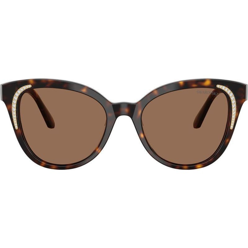 SK6031, Dark Havana/Dark Brown Lenses