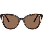 SK6031, Dark Havana/Dark Brown Lenses